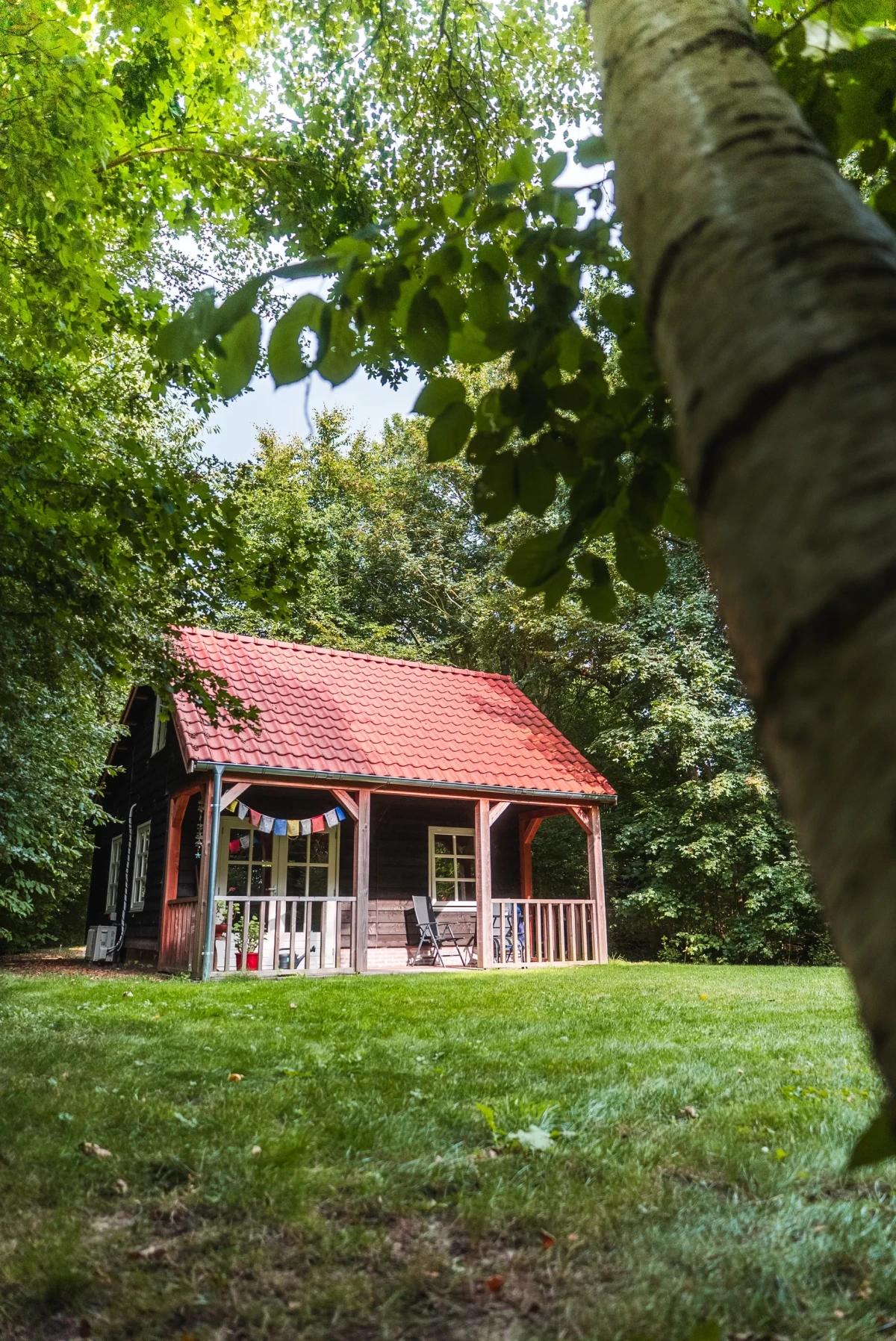 photo - Natuurhuisje Noordlaren