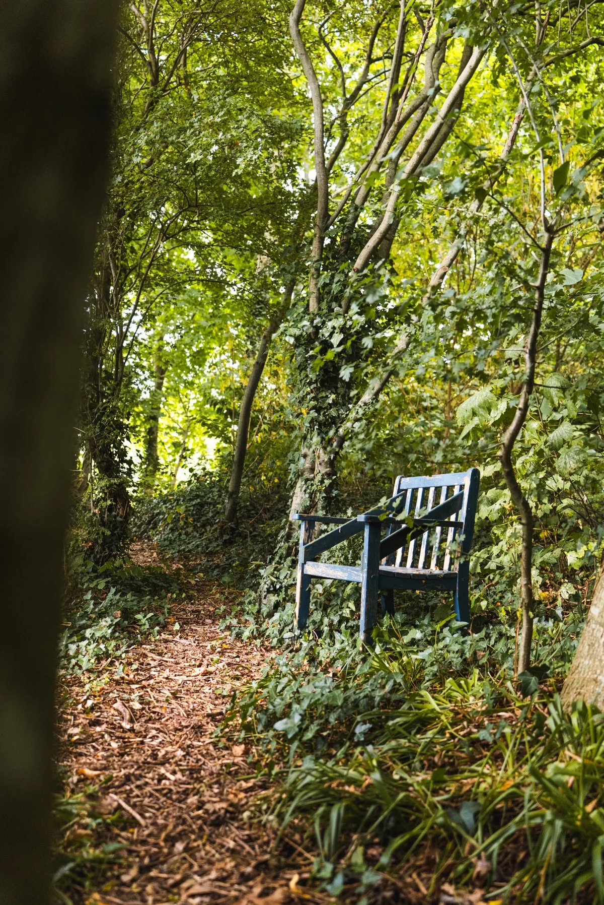 photo - Natuurhuisje Noordlaren